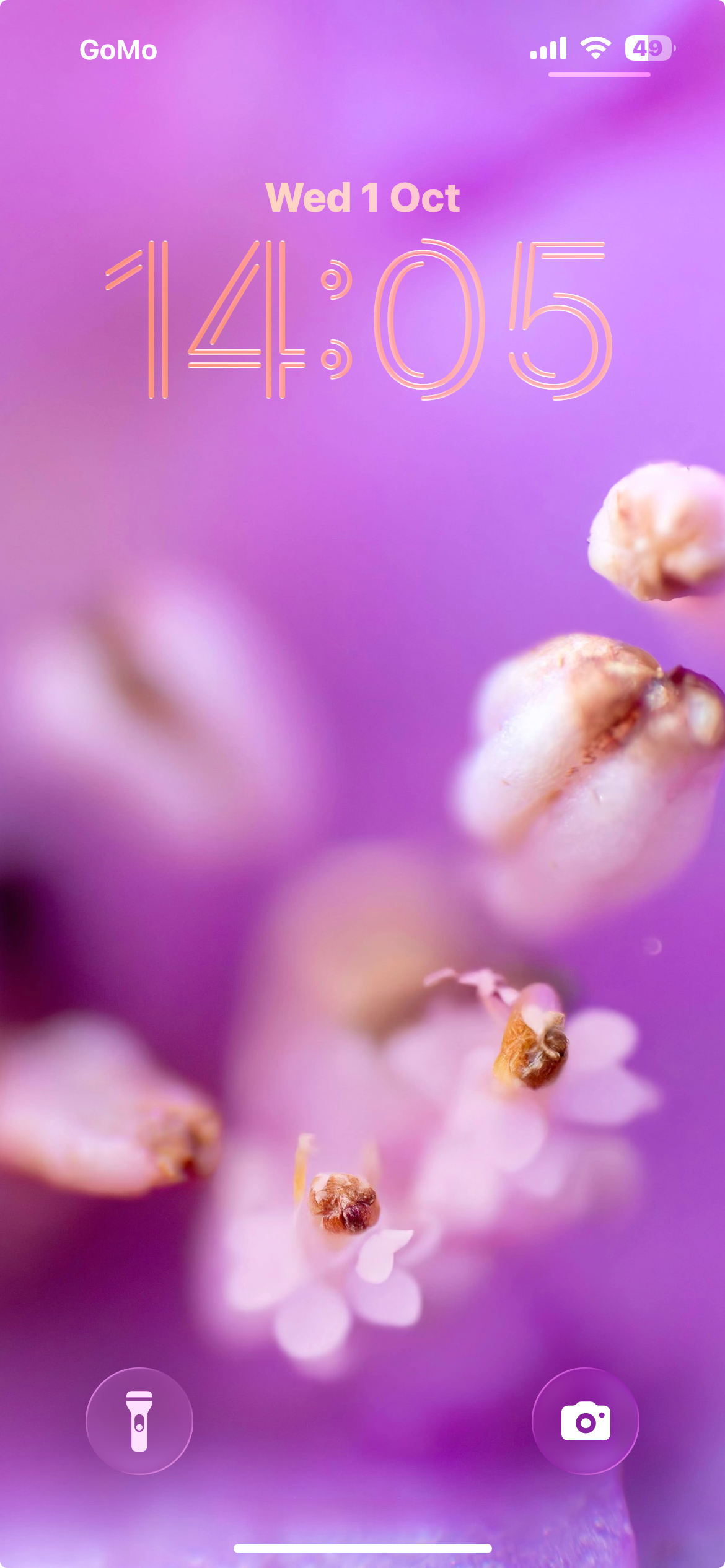 FLOWER | Free Wallpaper